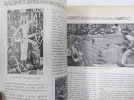 Kesätunnelma II 1916 - Sosialistin Kirjapaino-osuuskunta IL julkaisu, Kansikuva Ali Munsterhjelm "Sadepäivä", Muita kuvittajia mm. Edvin Lydén, Veikko Puro...