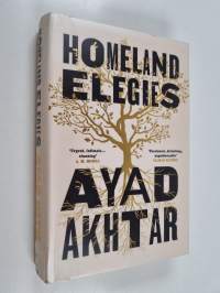 Homeland elegies