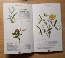 Kasvikirja - Tunnista 200 suomalaista kasvia
