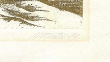 Hugo Mitt , pehmytpohjasyövytys grafiikka sign 1981  23/30 kehystämätön 29x37 cm
