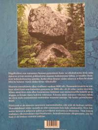 Megaliittikivien arvoitus