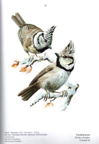 Linnut Birds -Kuvan tekeminen, creating art