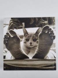 The Big Book Of Cats