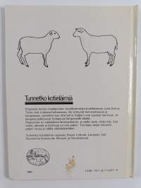 Lampaat