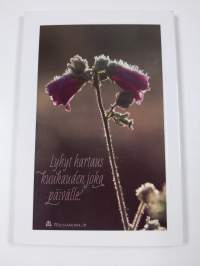 Aamun ensimmäinen