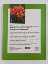 Kotipihan perennat