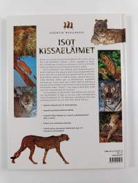 Isot kissaeläimet