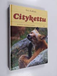 Citykettu ja muita taajaman eläimiä
