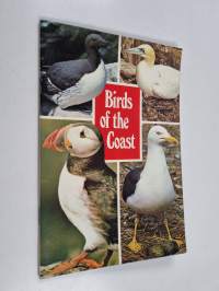 Birds of the Coast - Sea Birds