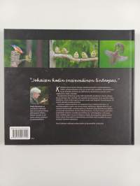 Kotipihan linnut