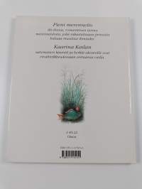 Pieni merenneito