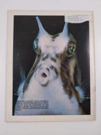 Merten salaisuudet 16/1977