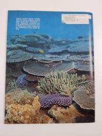 Merten salaisuudet 39/1977