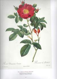 Kauneimmat kukat : Pierre-Joseph Redoutén maalauksina = De vackraste blommorna målade av Pierre-Joseph Redouté = The Book of Flowers. Numeroitu 1236/1500