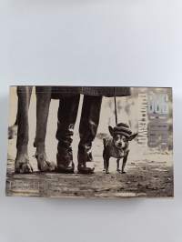 Dog Dogs