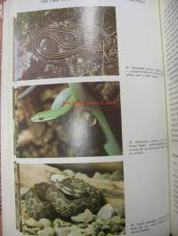 The Care of Reptiles and Amphibians
