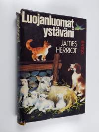 Tyhjä kuva