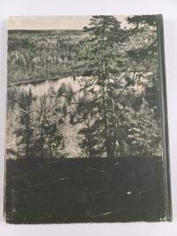 Itärajan kuvia