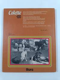 Colette, pieni musta koira
