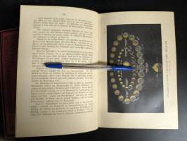 Kosmos, Bibel der Natur