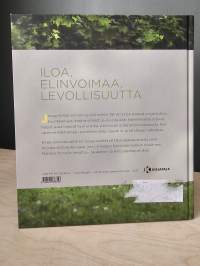 Kiitollisuuden jooga : hyvinvointia jokaiseen päivään