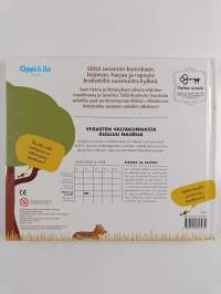 Savannin silitysseikkailu