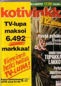 Kotivinkki 11/93