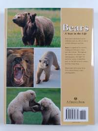 Bears - A year in their life