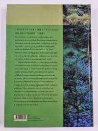 Luonnonmukainen puutarha