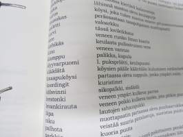 Isä, poika ja puuvenheet