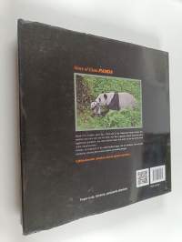 Story of Giant Panda