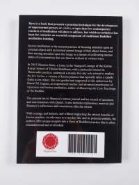 The fire kasina - Questions and answers on retreat with practice notes and commentary
