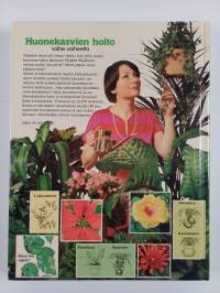 Huonekasvien hoito vaihe vaiheelta
