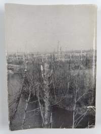 Kesäkuun kriisi 1944