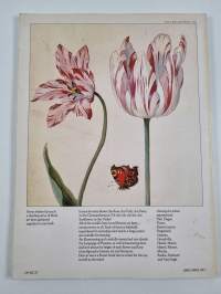 The Illustrated Flower
