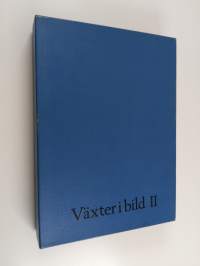 Växter i bild II : 100 svenska träd och buskar (Laatikossa)