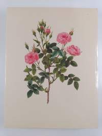 Die schönsten Blumen und Früchte