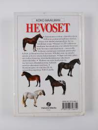 Koko maailman hevoset