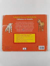 Tällaista on maalla
