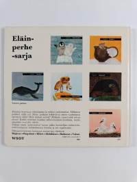 Eläinperhe : Hiiret