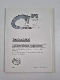 Navettakissat