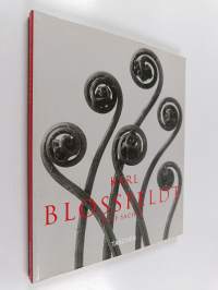 Karl Blossfeldt - Photographs 1865-1932
