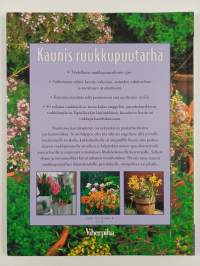 Kaunis ruukkupuutarha