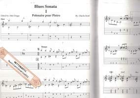 Blues Sonata and Jazz Standards for Guitar, sis. cd. (kitara)