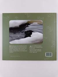 Saippa : saimaannorppa = the Saimaa ringed seal