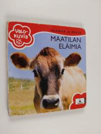 Tyhjä kuva