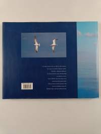 Ulkosaaristo : missä meri ja taivas kohtaavat
