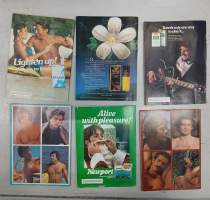 Playgirl; Aikuisviihdelehtiä 6 kpl