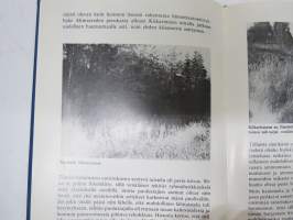 Sota Lokalahdella 1808-1809