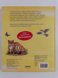 Kesäinen luonto